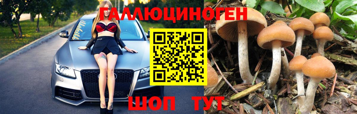 Красноярск  Псилоцибиновые грибы мицелий  Вход с VPN 